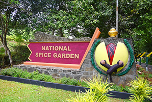 Kandy Spice & Silk Day