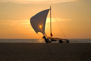 Arrival in Negombo