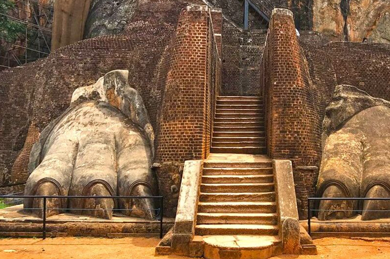 Arrival & The Lion Rock